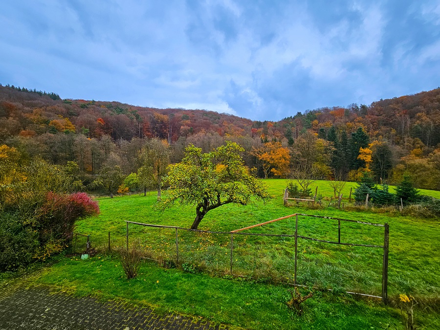 Haus kaufen Windhagen OT WG-338 Aussicht-2