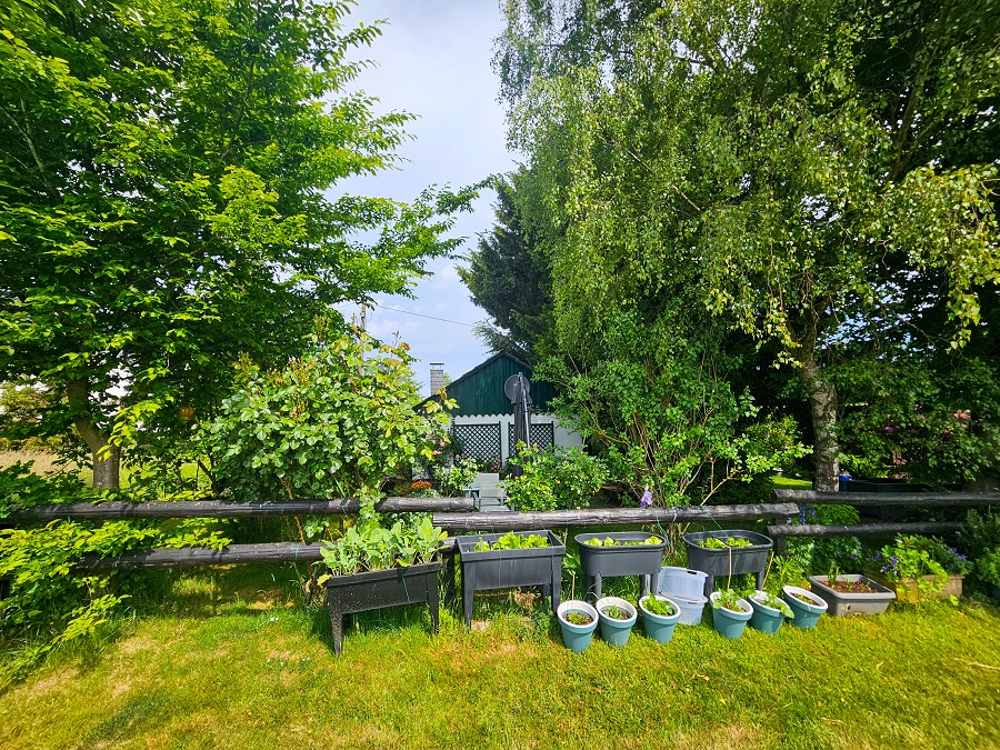 Einfamilienhaus kaufen Windeck HMW-318 Gartenlaube
