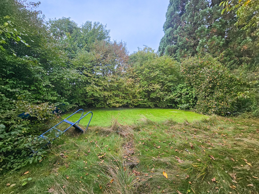 Einfamilinehaus kaufen Nähe Asbach FGA-238  garten-3
