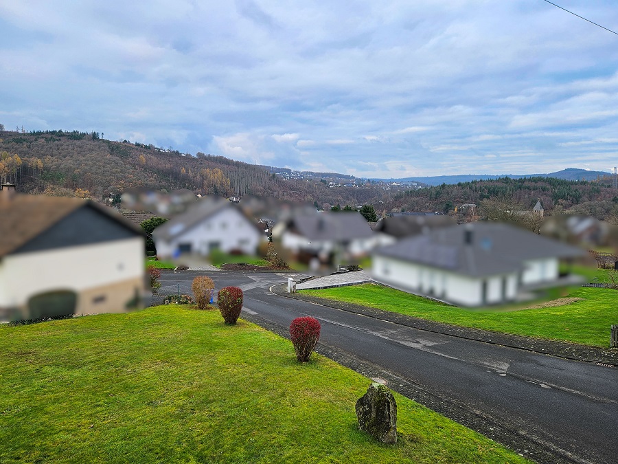Einfamilienhaus mit ELW kaufen Nähe Betzdorf NA-298 DG - Aussicht