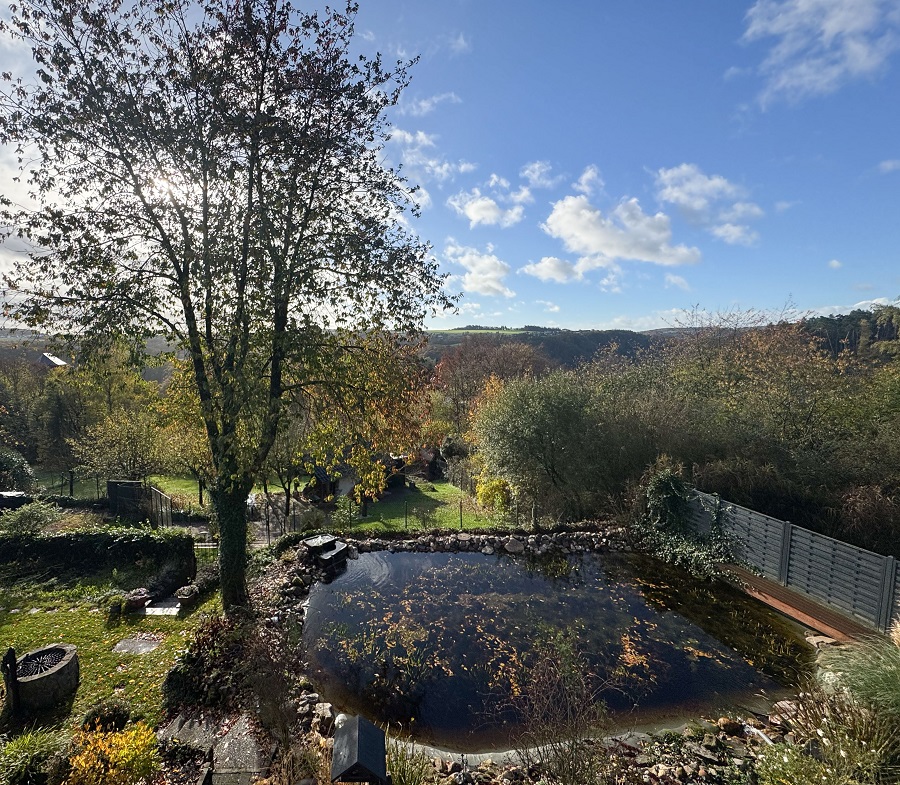 Erdgeschosswohnung mieten im OT von Neustadt Wied VDN-930 Teich (4)