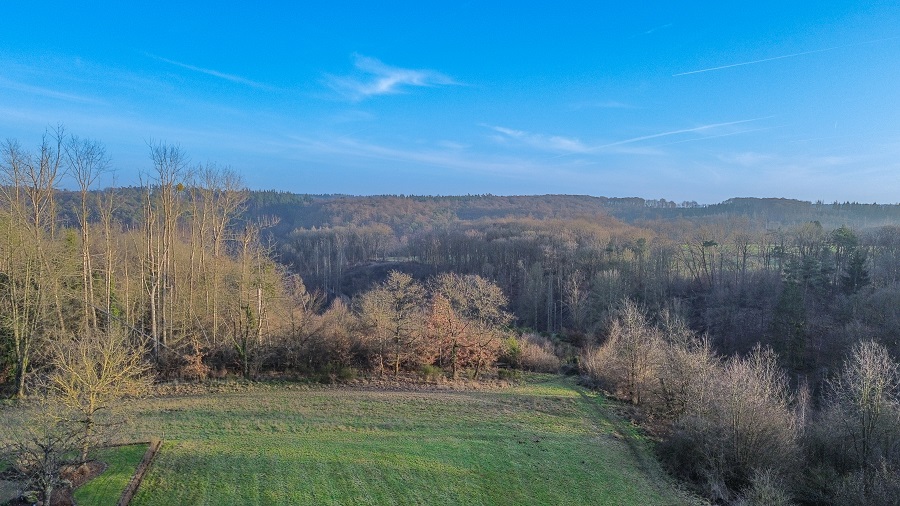 Ein- Zweifamilienhaus kaufen 1 Km Horhausen WTP-327 Aussicht