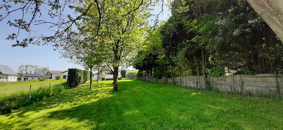 Vermietetes Einfamilienhaus kaufen Nähe Horhausen JWK-227 20230518_145519