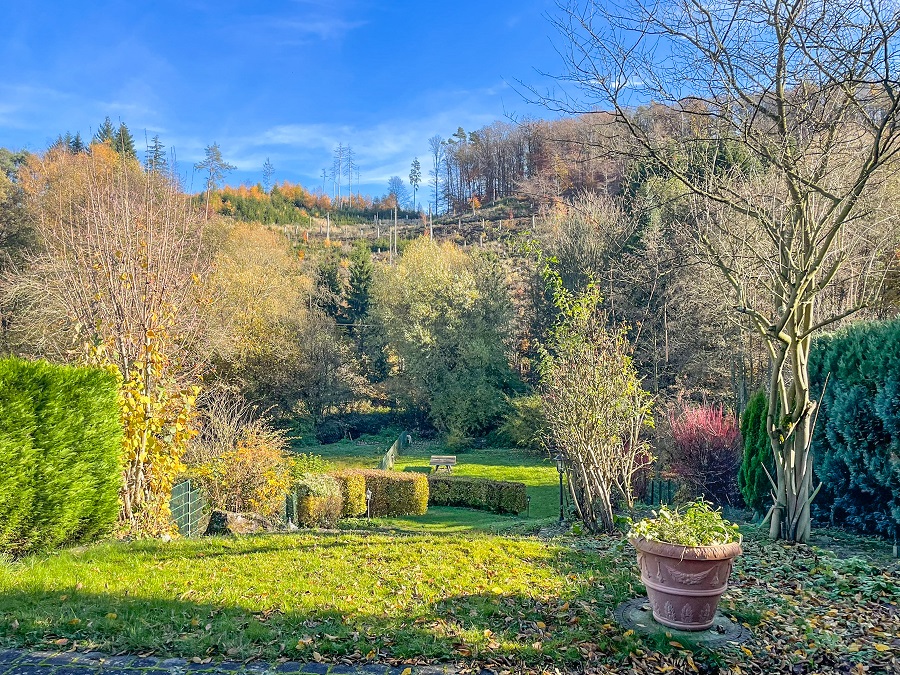 Einfamilienhaus kaufen in Aussichtslage bei Horhausen TMO-267 Garten-2