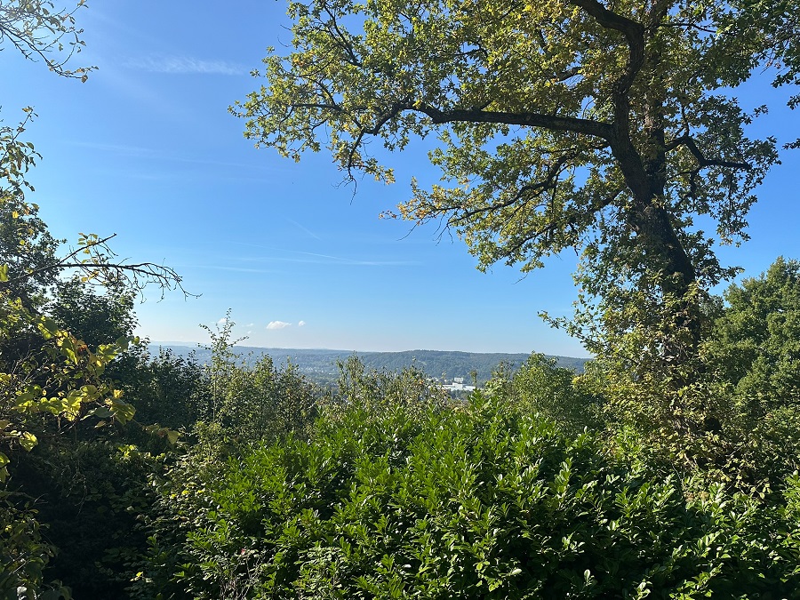 Freizeitgrundstück mit 3.000 m² in Bestlage von Bad Honnef kaufen GLB-097 Aussicht