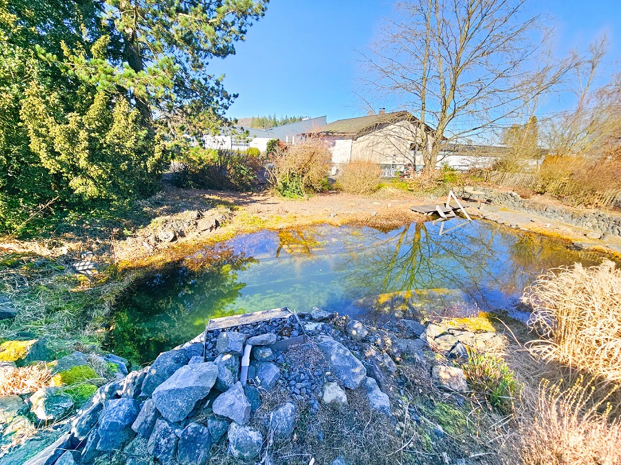 Winkelbungalow kaufen 5 Min. A3 Bad Honnef Schwimmteich_Garten-1