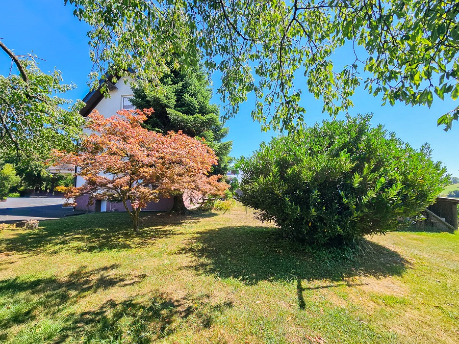 Einfamilienhaus kaufen mit ca. 27.700 m² Fläche direkt am Haus bei Asbach WLB-428 AA Vogelperspektive-7 (4)